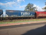RUMO HTT-351135-9